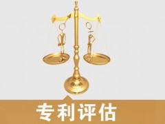 專利的價(jià)值評(píng)估，新手賣家必看
